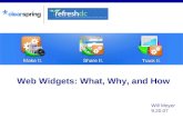 Web Widgets Talk @ RefreshDC, Sep 2007