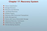 17 recovery system