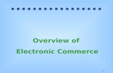 Overview of  electronic commerce