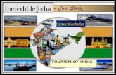 Indian tourism sector