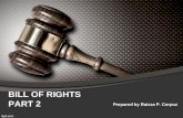 Bill of Rights Part II