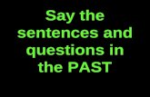 Say the sentences and questions in the past simple