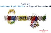 Lipid rafts in signal transduction