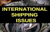 International Shipping Issues