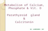 Metabolism of Calcium , Phosphate , Vit D