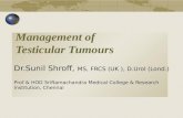 Management Of Testicular Tumours