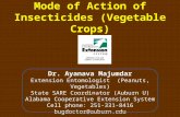 Insecticides for Vegetable Production 2011