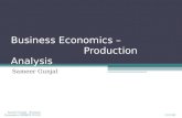 Business economics   production analysis