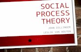 Social Process Theory