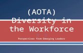 2014 (AOTA Diversity in the Workforce: Perspectives from Emerging Leaders