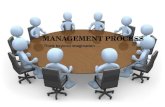 Management process
