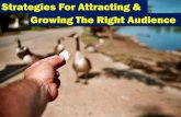 Strategies for Attracting and Growing the Right Audience