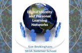 Digital Identity and Personal Learning Networks