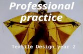 001    09 11 12 - professional practice - fri