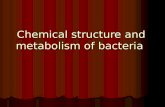 Bohomolets Microbiology Lecture #2