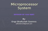 Microprocessor systems 8085(2)