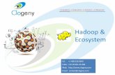 Hadoop & Ecosystem - An Overview