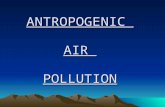 Antropogenic air pollution
