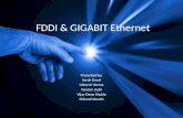Fddi & Gigabit Ethernet