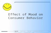Consumer Behavior Project (Spring 2008)