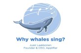Why Whales Sing: heavy spenders drive virality and retention