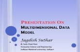 Multidimentional data model