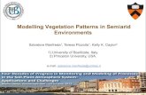 Modelling Vegetation Patterns in Semiarid Environments