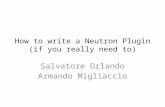 How to write a Neutron Plugin - if you really need to