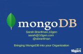 Branf final   bringing mongodb into your organization - mongo db-boston2012