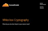 White-box Cryptography -BayThreat 2013