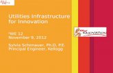 Utilities Infrastructure for Innovation