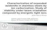 Characterization of expanded austenite in stainless steels by ion carburization. Study of stability under beam irradiation composed by energetic light ions