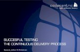 Successful testing continuous delivery (Testnet 2013)