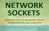 Network Sockets