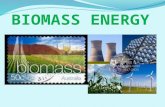 Biomass Energy by Álex Ferreirós