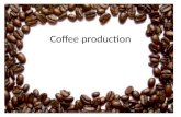 Cofee production and types of coffee