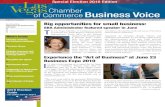 Business Voice June 2010