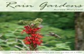 Maryland Rain Garden Manual