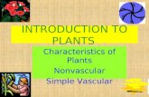 Intro. to plants ppt ch.10