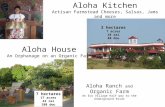 Aloha House 2014