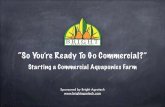 Starting a Commercial Aquaponics Farm - Bright Agrotech
