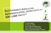 Sustainable Agriculture Intensification, ACISAI Center and SRI-LMB project
