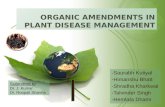 organic amendments by HIMANSHU