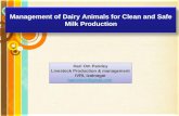 Management of dairy animals for clean & safe milk production