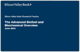 The Advanced Biofuel and Biochemical Overview  June 2012