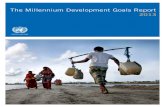 United Nations Millennium Development Goals Report 2013