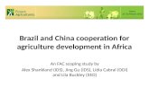 Brazil and China cooperation for agriculture development in Africa