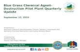 Blue Grass Chemical Agent-Destruction Pilot Plant Quarterly Update September 12, 2012