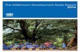 United Nations Millennium Development Goals Report 2014