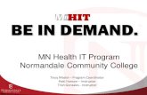 MN Health IT Info session 8 28-13